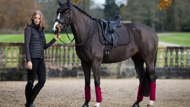 LeMieux Suede Dressage Square AW24