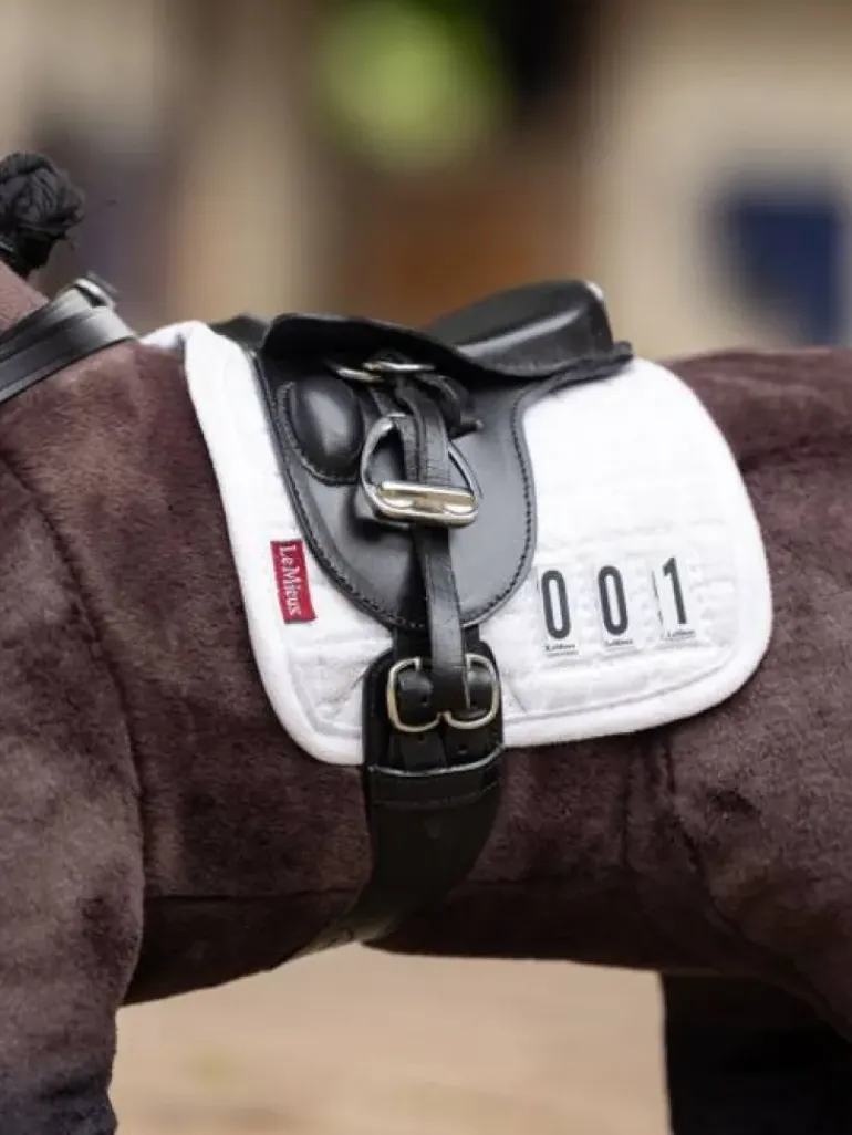 LeMieux Toy Pony Dressage Square