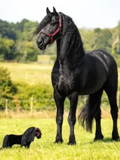 LeMieux Toy Pony Spike