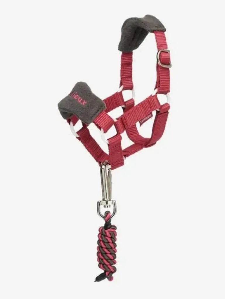 LeMieux Toy Pony Vogue Headcollar & Leadrope AW24