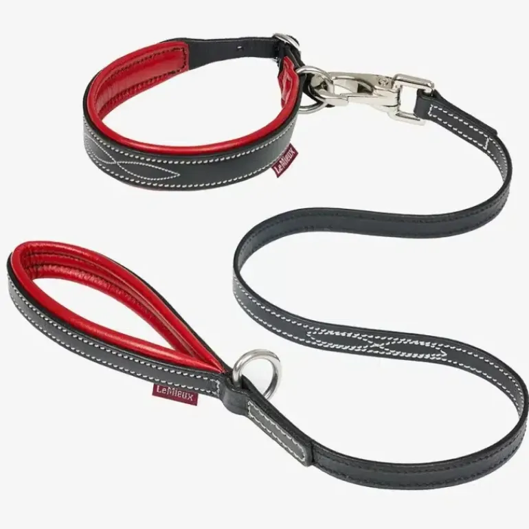 LeMieux Toy Puppy Collar & Lead