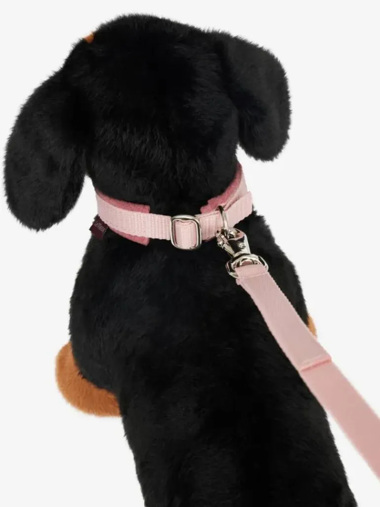 LeMieux Toy Puppy Collar & Lead