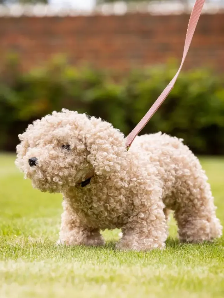 LeMieux Toy Puppy Collar & Lead