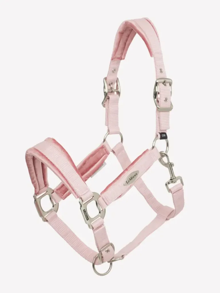 LeMieux Versailles Headcollar & Leadrope SS25