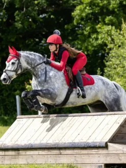 LeMieux Victoire Young Rider Pull On Breech