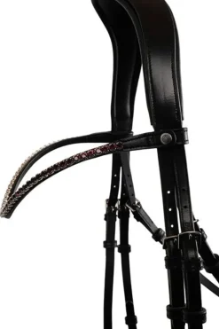 Montar Curved Crystal Browband
