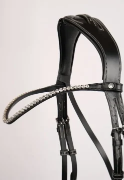 Montar Curved Crystal Browband