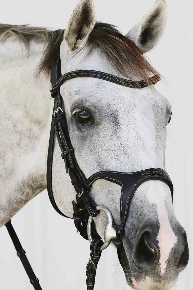 Montar Monarch Jumping Bridle Eco Leather