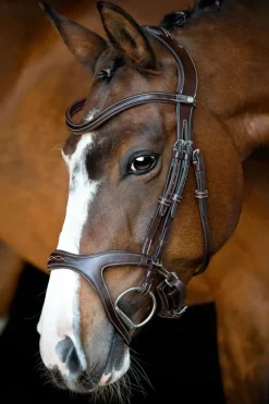 Montar Monarch Jumping Bridle Eco Leather