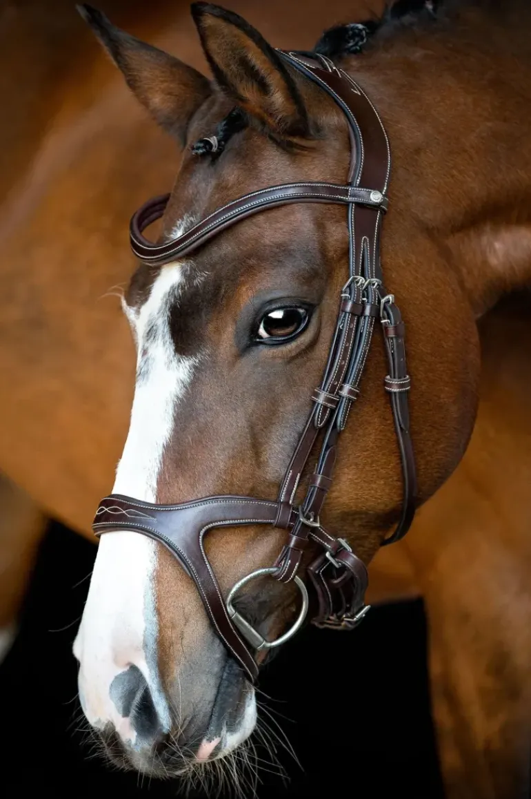 Montar Monarch Jumping Bridle Eco Leather