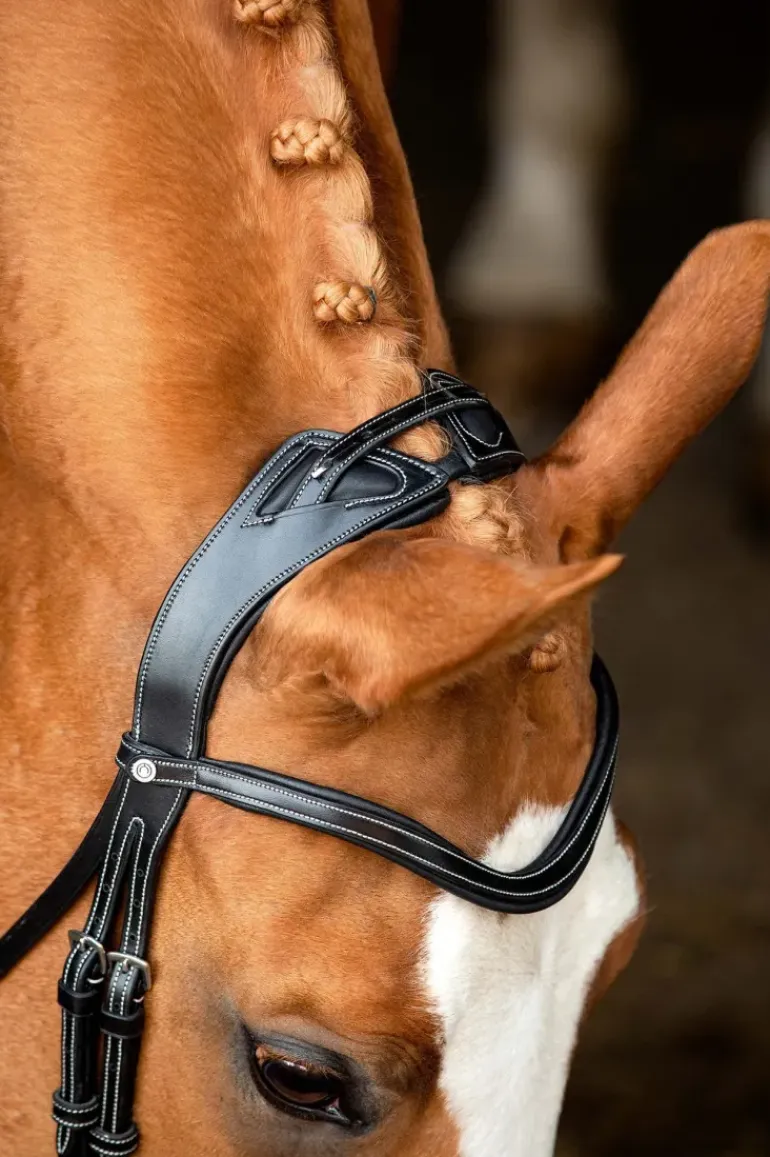 Montar Monarch Jumping Bridle Eco Leather