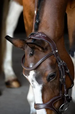 Montar Monarch Jumping Bridle Eco Leather