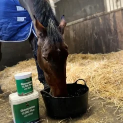 NAF Glucosamine 12,000 Plus with MSM