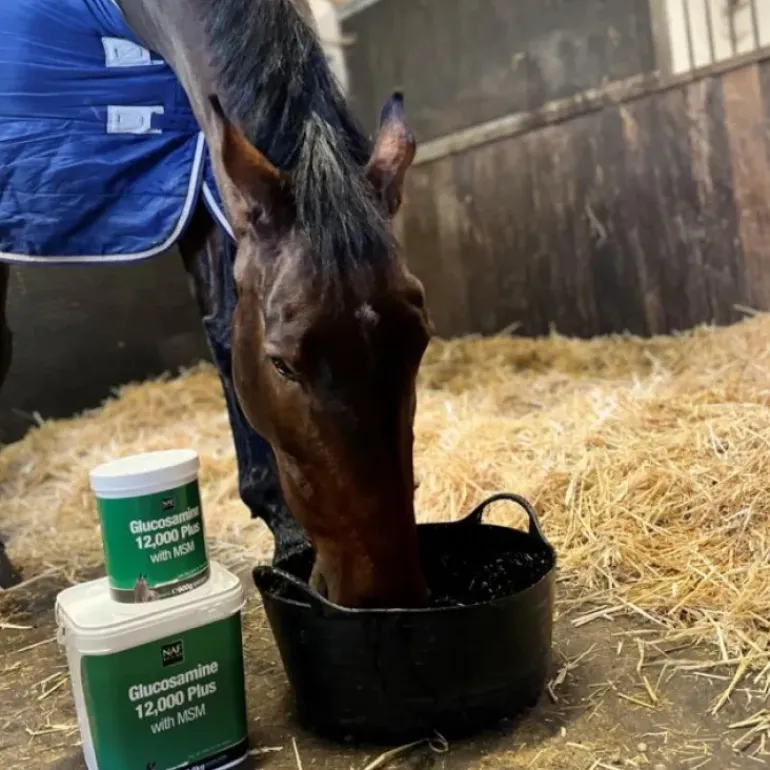 NAF Glucosamine 12,000 Plus with MSM