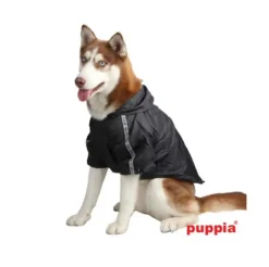 Pet London Base Raincoat