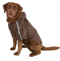 Pet London Base Raincoat