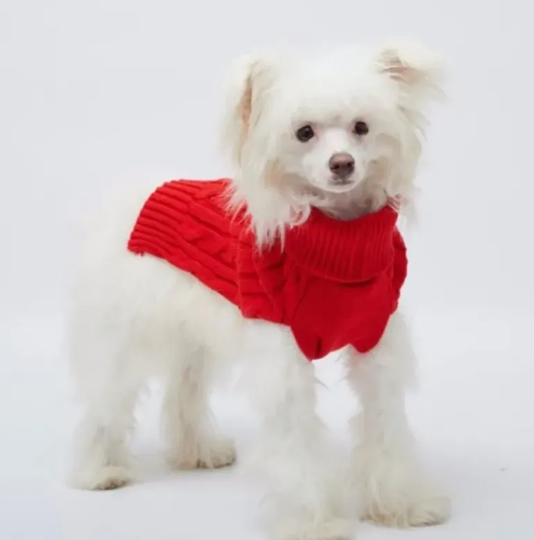Pet London Cable Knit