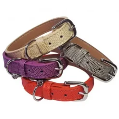 Pet London Langham Collar