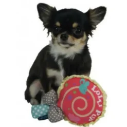 Pet London Lollipup