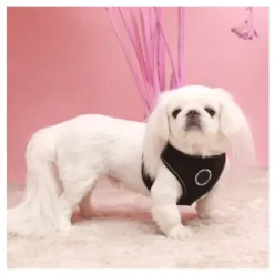 Pet London Trek Harness A