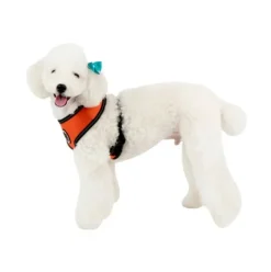 Pet London Trek Harness A