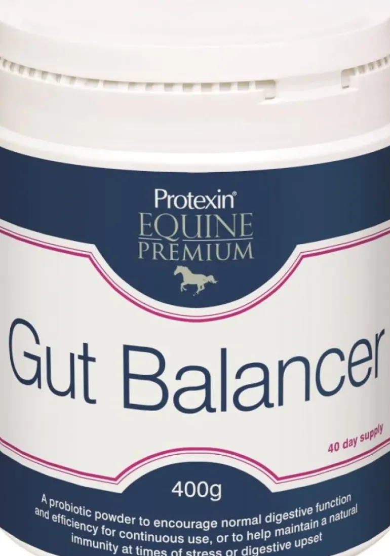 Protexin Gut Balancer 400g