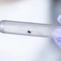 Pyramid Lyme Disease Test Kit