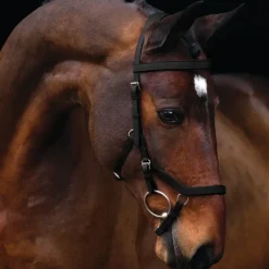 Rambo Micklem Competition Bridle