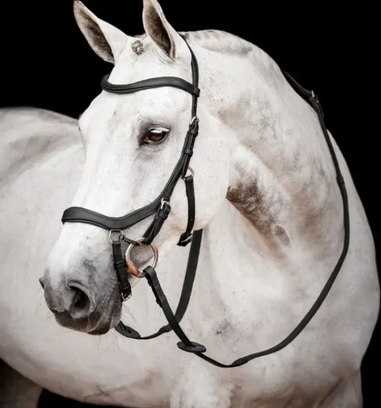 Rambo Micklem Competition Bridle