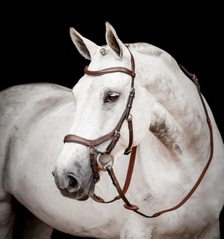 Rambo Micklem Competition Bridle