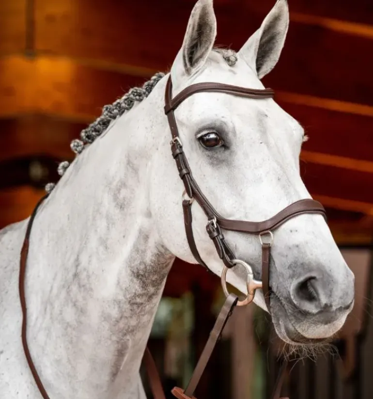 Rambo Micklem Competition Bridle