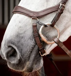 Rambo Micklem Competition Bridle