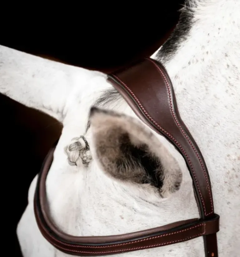 Rambo Micklem Competition Bridle