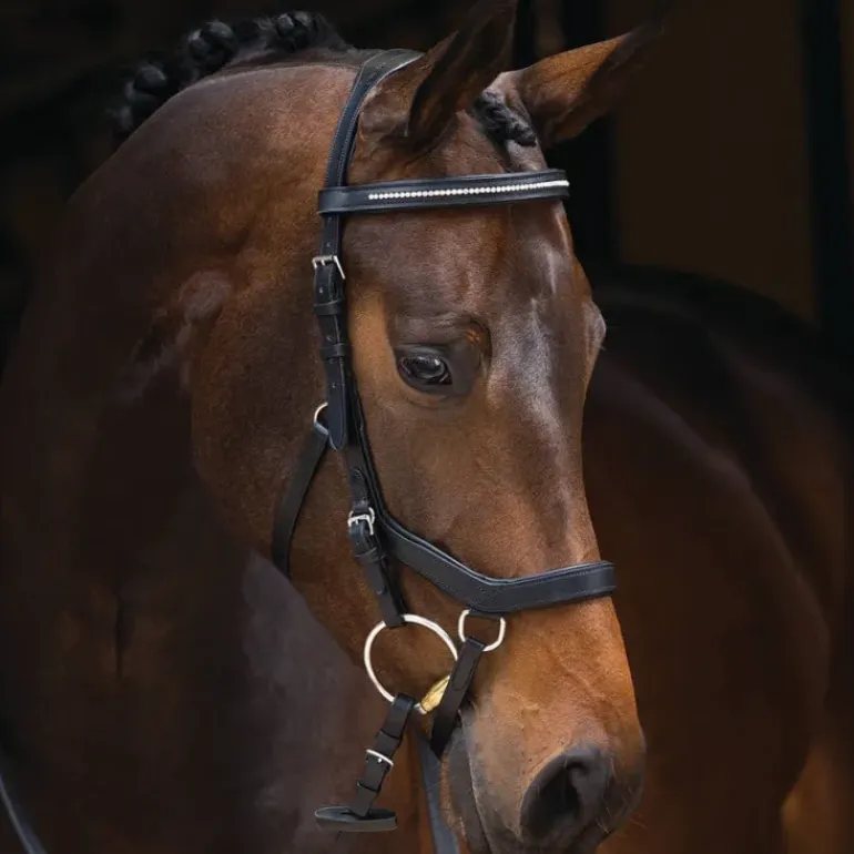 Rambo Micklem Competition Bridle