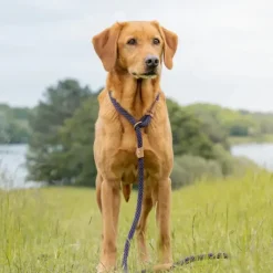 Ruff & Tumble Slip Lead
