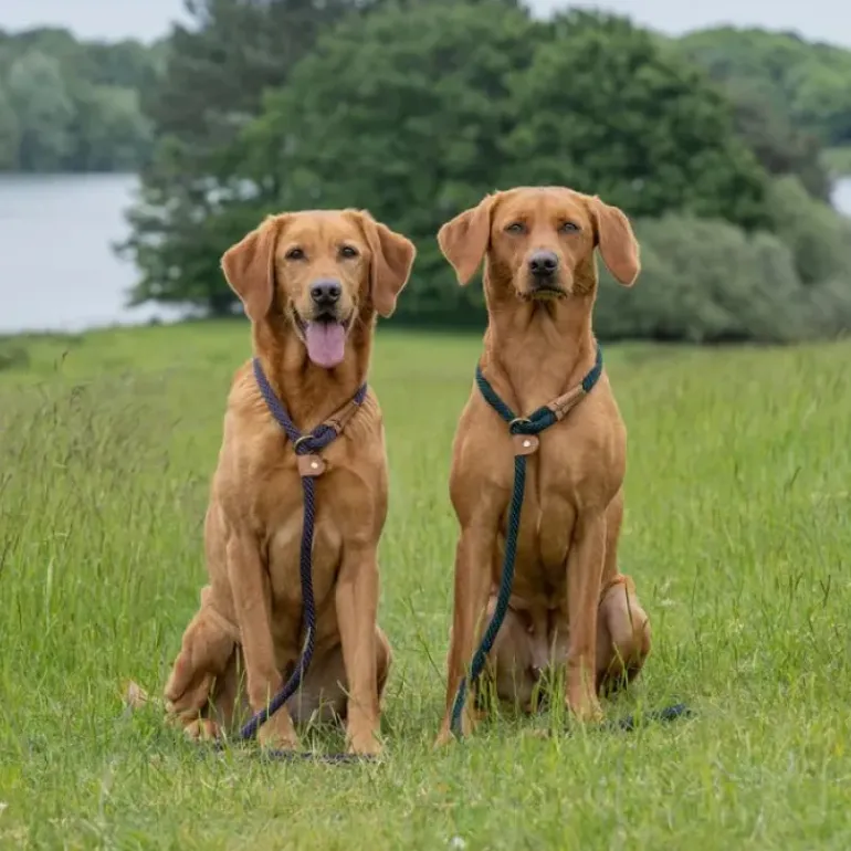 Ruff & Tumble Slip Lead