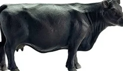 Schleich Black Angus Cow