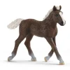 Schleich Black Forest Foal