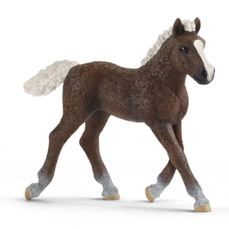 Schleich Black Forest Foal