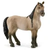 Schleich Criollo Mare