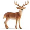 Schleich White Tailed Buck