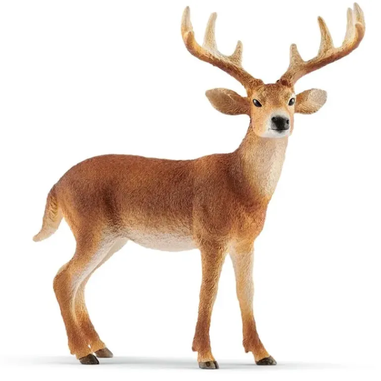 Schleich White Tailed Buck