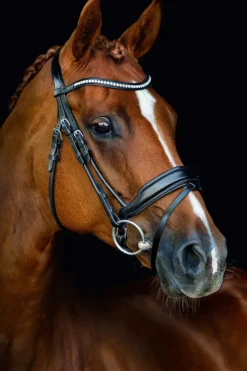 Schockemohle Malibu Bridle Espresso/Silver