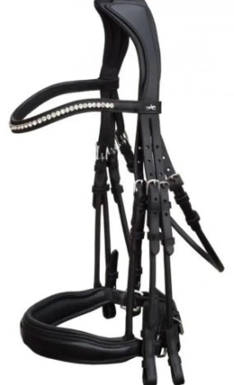 Schockemohle Venice Bridle