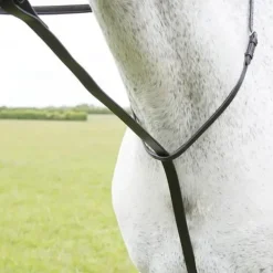Shires Blenheim Standing Martingale Black Cob