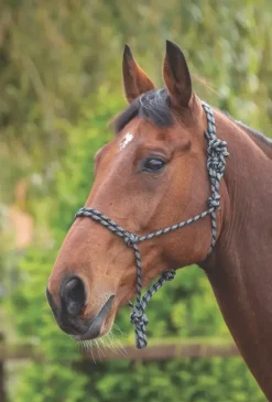 Shires Rope Control Headcollar