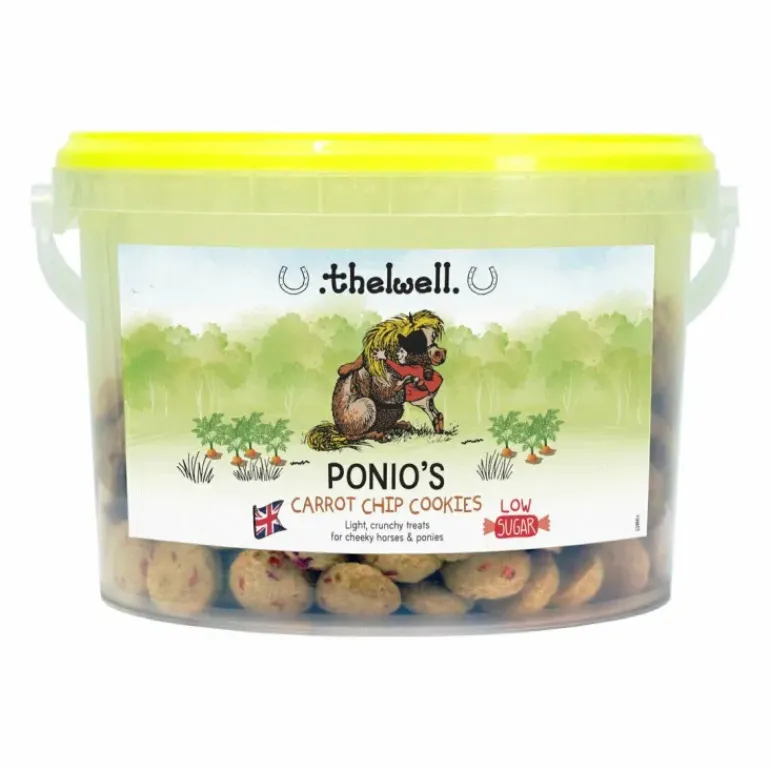Stud Muffins Christmas Pudding Flavoured - Pack of 15
