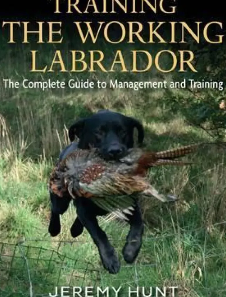 Training The Working Labrador Book