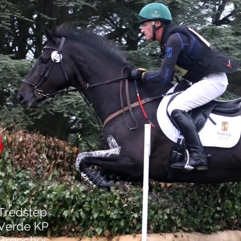Tredstep Ireland Mens Verde Breeches