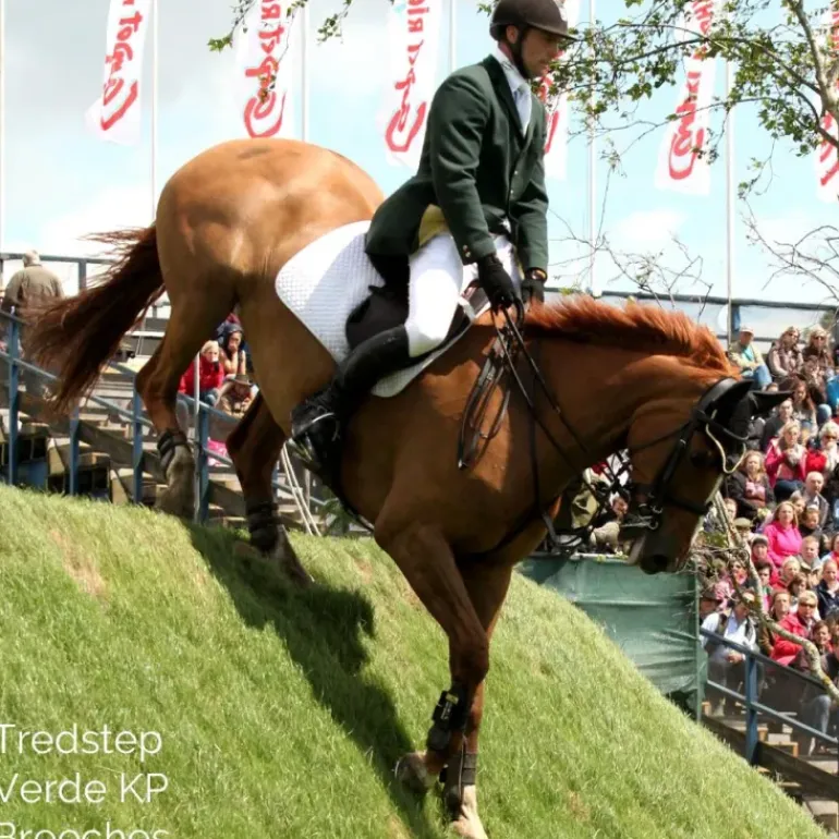 Tredstep Ireland Mens Verde Breeches